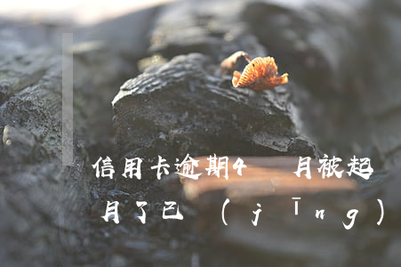 信用卡逾期4個月被起訴(我信用卡逾期三個月了已經(jīng)被起訴了怎么辦)
