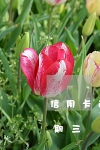 信用卡逾期4個月記錄-信用卡4000逾期三個月