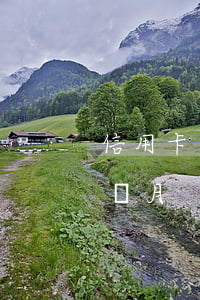 信用卡逾期4個月還最低 信用卡4萬逾期3個月