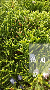 信用卡逾期4個月還清沒有額度了 信用卡逾期4個月還清沒有額度了