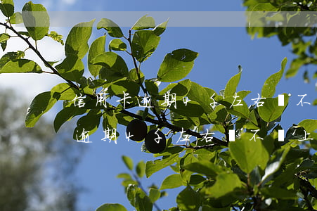 信用卡逾期4千左右會不會上門來-信用卡逾期4千左右會不會上門來催收
