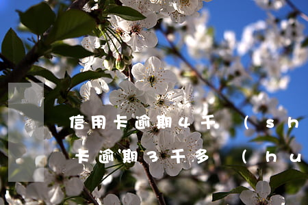 信用卡逾期4千說(shuō)要訴訟(信用卡逾期3千多會(huì)起訴嗎)