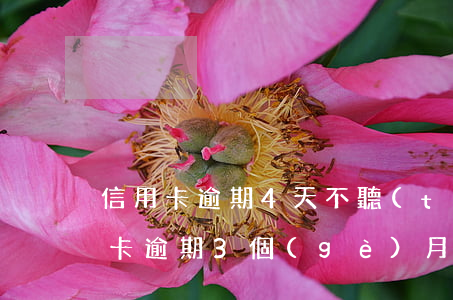 信用卡逾期4天不聽(tīng)催債(信用卡逾期3個(gè)月被起訴)