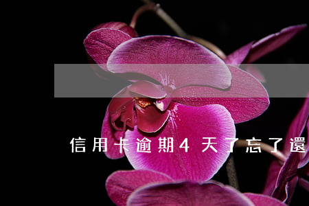 信用卡逾期4天了忘了還(信用卡逾期了四天)