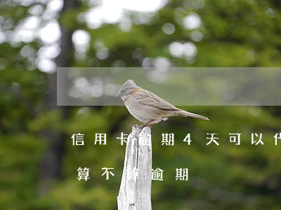 信用卡逾期4天可以代還嗎(晚還4天信用卡算不算逾期)