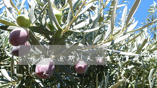 信用卡逾期4天后會怎樣(信用卡沒注意逾期4天)