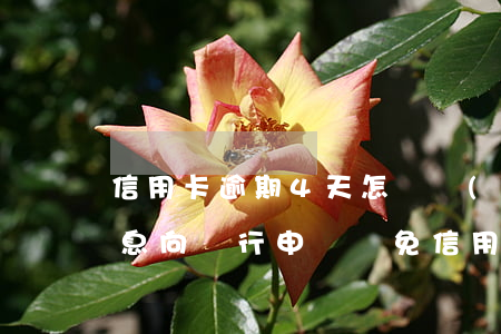 信用卡逾期4天怎樣協(xié)商減免利息(向銀行申請減免信用卡逾期利息怎么申請)