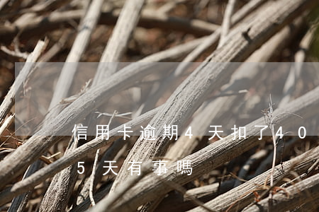 信用卡逾期4天扣了400(信用卡4元逾期5天有事嗎)