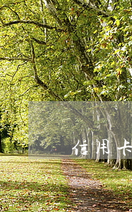 信用卡逾期4天有事(信用卡逾期4天)