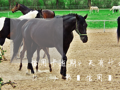 信用卡逾期4天有什么影響(逾期四天會(huì)影響信用嗎)