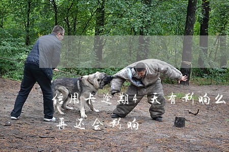 信用卡逾期4天有影响么(信用卡逾期第四天再还会影响)