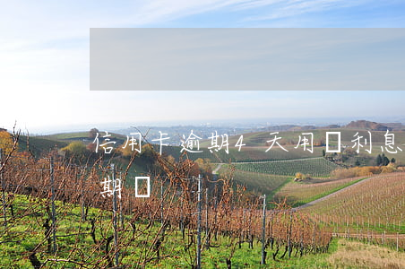信用卡逾期4天用還利息嗎(信用卡4天算逾期嗎)