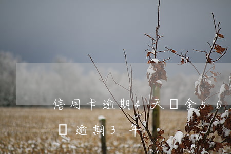 信用卡逾期4天罰金500(信用卡500塊錢逾期3年)