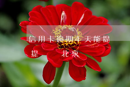 信用卡逾期4天能提額嗎 信用卡逾期4天能提額嗎北京