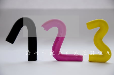 信用卡逾期4天还能使用吗(应用卡逾期4天)