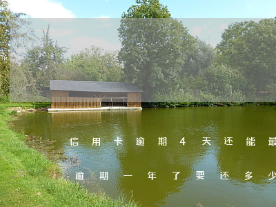 信用卡逾期4天还能最低还款吗(4万信用卡逾期一年了要还多少)