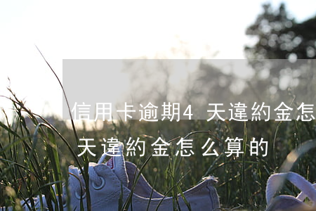 信用卡逾期4天違約金怎么算(信用卡逾期4天違約金怎么算的)