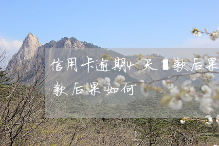 信用卡逾期4天還款后果 信用卡逾期4天還款后果如何