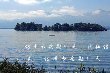 信用卡逾期4天還款征信會(huì)被拉黑-信用卡逾期4天還款征信會(huì)被拉黑嗎