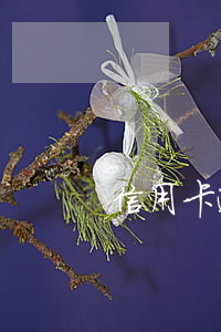 信用卡逾期4天還款怎么辦