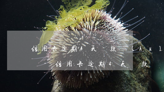 信用卡逾期4天還款會(huì)記入征信嗎-信用卡逾期4天還款會(huì)記入征信嗎