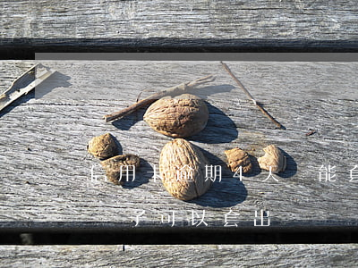 信用卡逾期4天還能套出來嗎-逾期很久了還了可以套出來嗎