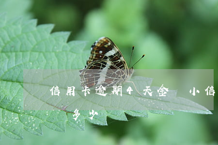 信用卡逾期4天金額小(信用卡4萬逾期一天罰多少)