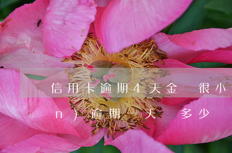 信用卡逾期4天金額很小 信用卡4萬(wàn)逾期一天罰多少