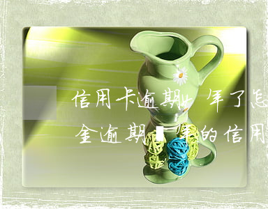 信用卡逾期4年了怎么協(xié)商還本金(逾期兩年的信用卡怎么還)