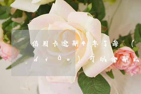 信用卡逾期4年了每個(gè)月還一點(diǎn)可以分期么(信用卡逾期一年還能分期還嗎)