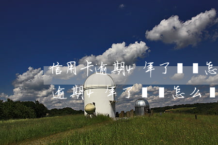 信用卡逾期4年了沒還怎么辦上海-信用卡逾期4年了沒還怎么辦上海房貸