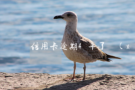 信用卡逾期4年了現(xiàn)在還清了