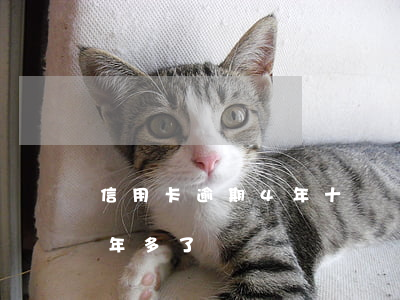 信用卡逾期4年十幾萬 信用卡4千多逾期一年多了
