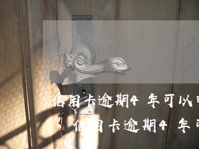 信用卡逾期4年可以申請(qǐng)分期嗎(信用卡逾期4年可以申請(qǐng)分期嗎)