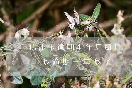 信用卡逾期4年后每月還1000(信用卡4千多逾期一年多了)