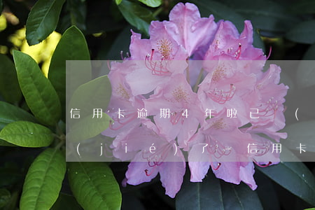 信用卡逾期4年啦已經(jīng)被凍結(jié)了-信用卡逾期4年啦已經(jīng)被凍結(jié)了怎么辦