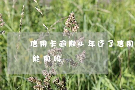 信用卡逾期4年还了(信用卡逾期4年还了还能用吗)