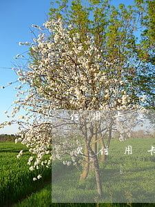 信用卡逾期4月7號已經(jīng)立案 欠信用卡7萬逾期三個(gè)月 已經(jīng)被起訴