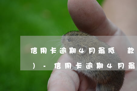 信用卡逾期4月最低還款多少錢(qián)-信用卡逾期4月最低還款多少錢(qián)啊