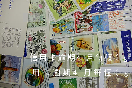 信用卡逾期4月每個(gè)月還500(信用卡逾期4月每個(gè)月還500)