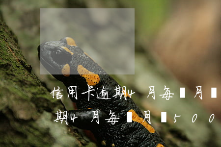 信用卡逾期4月每個月還500-信用卡逾期4月每個月還5000怎么辦