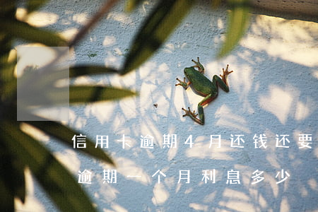 信用卡逾期4月还钱还要收利息(4万信用卡逾期一个月利息多少)