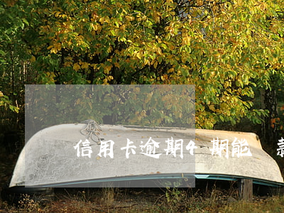 信用卡逾期4期能貸款嘛(信用卡逾期四個月)