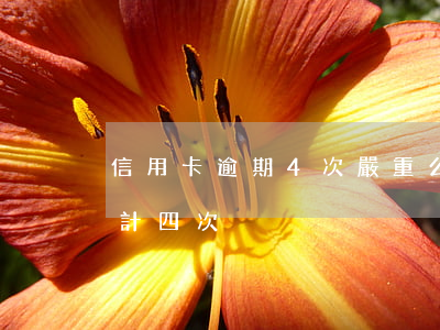 信用卡逾期4次嚴重么(五年內信用卡逾期累計四次)