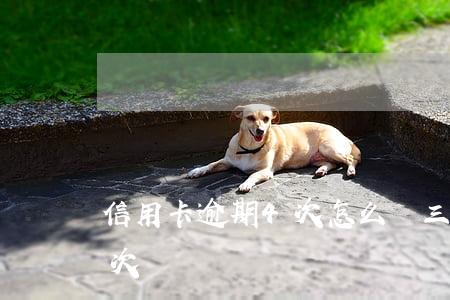 信用卡逾期4次怎么辦(三年內信用卡逾期3次)