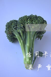 信用卡逾期4次能车贷吗(车贷逾期三四天后果严重吗)