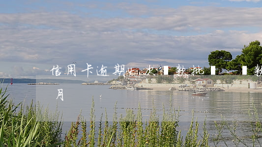信用卡逾期4次貸款批嗎-貸款逾期三四個月