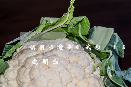 信用卡逾期4次金額18元(信用卡4.5萬逾期未還)