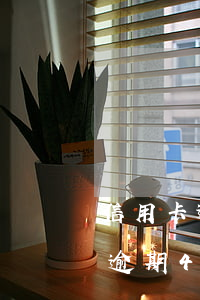 信用卡逾期4萬(wàn)起訴流程(信用卡逾期4萬(wàn)起訴流程)