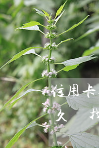 信用卡逾期4萬上門(信用卡5000逾期多久會找上門)